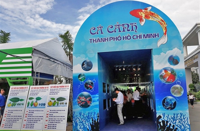 20-9 diễn ra ngày hội cá cảnh TP.HCM năm 2018
