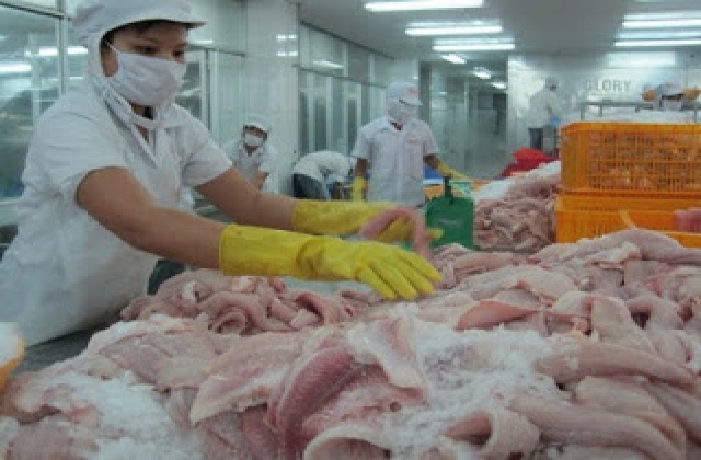 Nguy cơ mất thị trường cá tra, ba sa do Mỹ thay đổi quy định