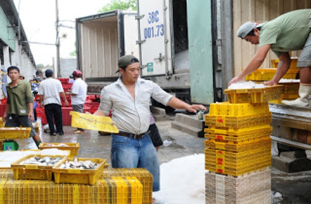 Xuất khẩu thủy sản: Giảm mạnh cả lượng và giá