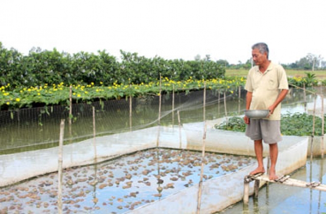 Nhạy bén làm kinh tế gia đình