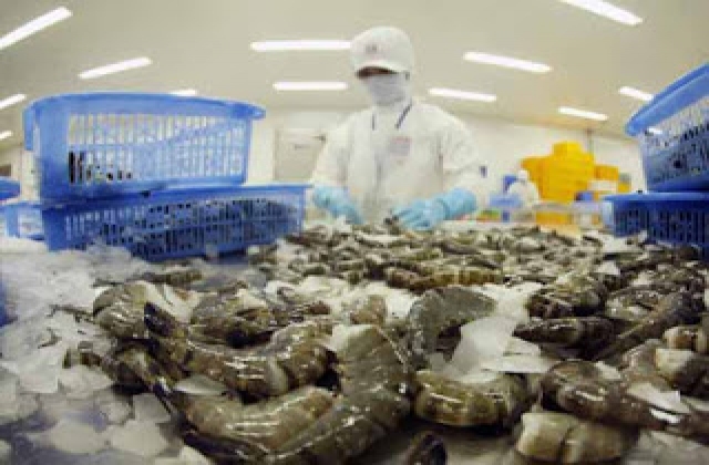  Nguy cơ mất thị phần xuất khẩu tôm sang EU