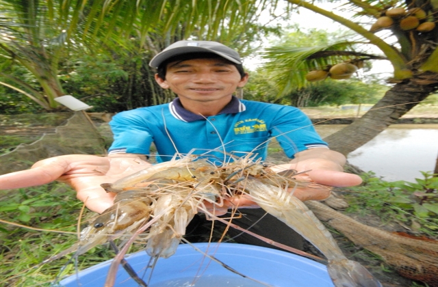 Lũ nhỏ, tôm còi...