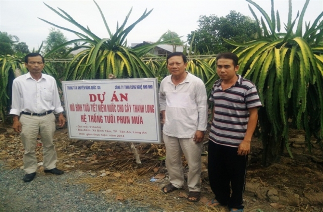 Nông nghiệp Việt Nam Thời sự Kinh tế Bắt tay làm thanh long sạch...