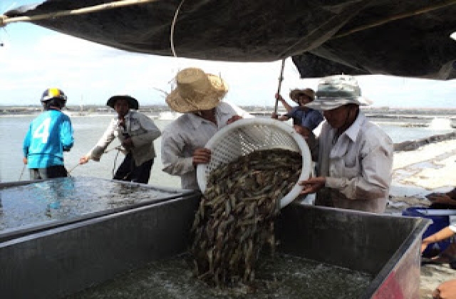 Nông, thủy sản 'hụt' hàng tỉ USD