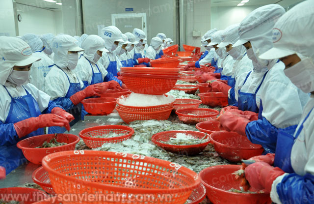 EEUV-FTA: Trải thảm đỏ cho xuất khẩu thủy sản