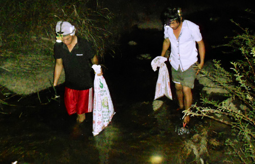 Trắng đêm soi cua bên suối