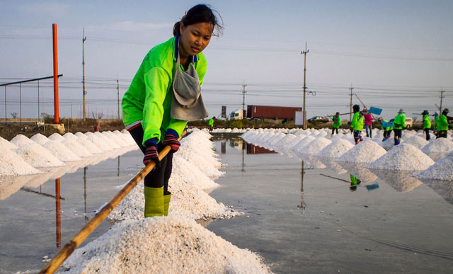 Thái Lan: Nỗi lo được mùa muối