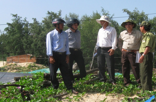 Phú Yên: Cần xử lý nghiêm việc lấn chiếm đất rừng phòng hộ để nuôi tôm