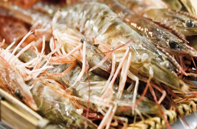 Ấn Độ: Xuất khẩu tôm hy vọng tăng trưởng vào năm 2017