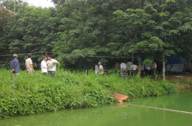 Bình Phước: Lãi 70 triệu đồng từ 1200 m2 nuôi cá