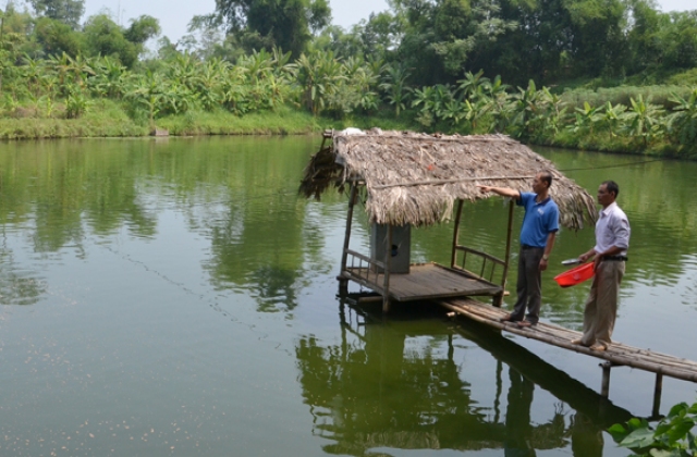 Bảo Thắng (Lào Cai): Sản Lượng thủy sản tăng 9,25% so với cùng kỳ