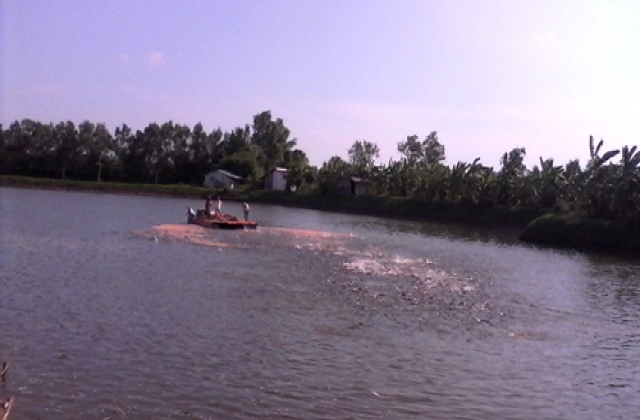 Mỹ cho cá tra Việt thêm thời gian ‘minh oan’