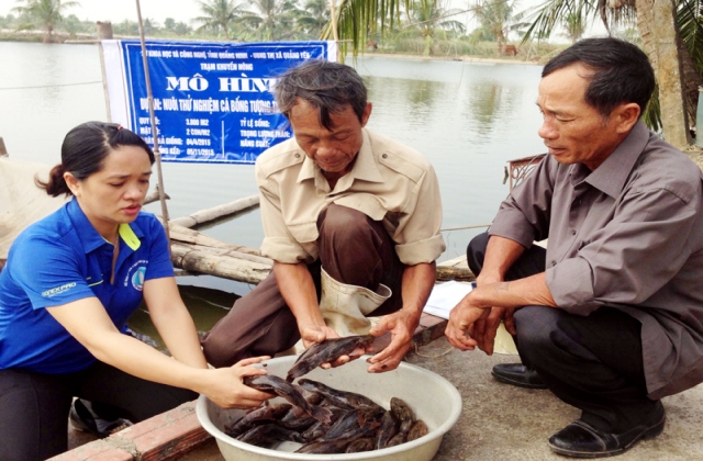 Quảng Ninh: Mô hình nuôi cá bống tượng tại TX Quảng Yên: Thêm một cách làm giàu cho nông dân