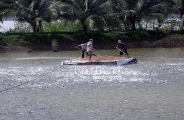 An Giang: Phát triển nuôi thủy sản theo hướng liên kết sản xuất