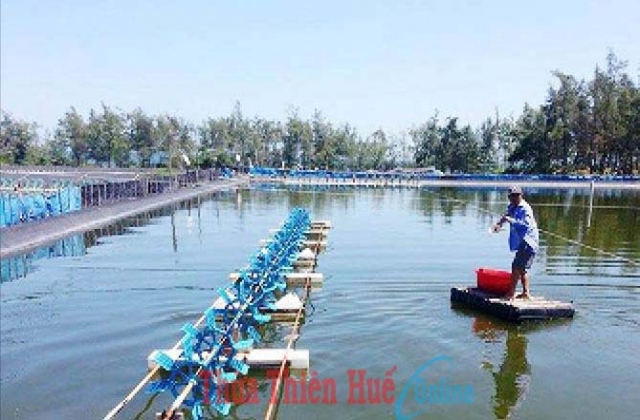 Tràn lan và khó kiểm soát