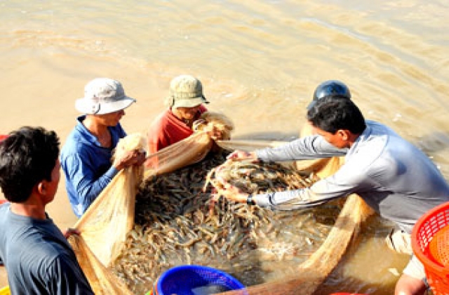 Khắc khoải nguyên liệu sạch