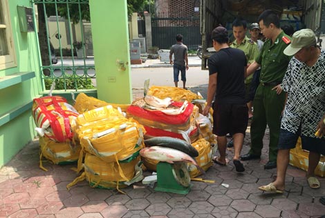 Hà Nội: Ếch, cá tầm, cá quả Trung Quốc tràn vào nội địa