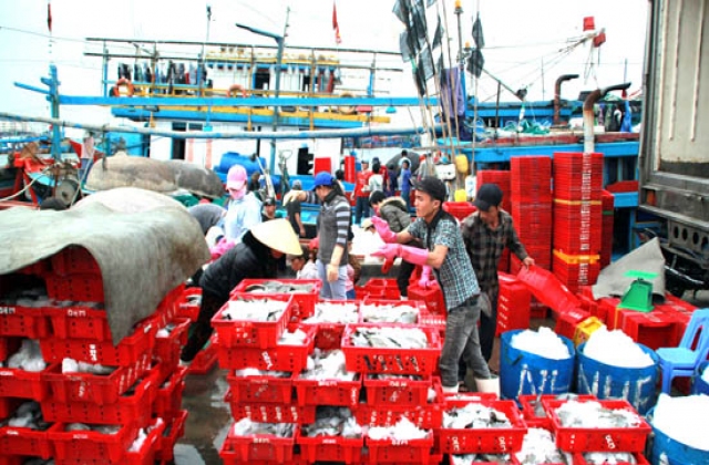 Vui vụ cá chính, lo vụ cá bắc