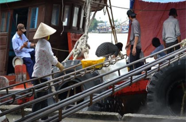 Tiền Giang: Ban hành quy chế quản lý cảng cá trên địa bàn tỉnh