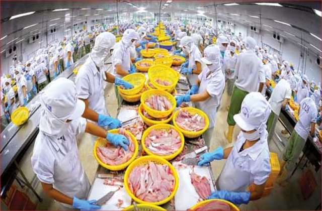 XK thủy sản: Thay đổi và thích nghi