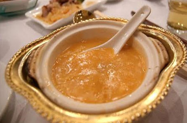 Phát hiện mẫu vi cá mập ‘đốt cháy như nhựa dẻo’