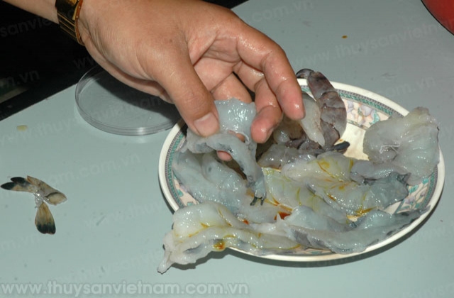 Báo động hàng thủy sản xuất khẩu bị trả về