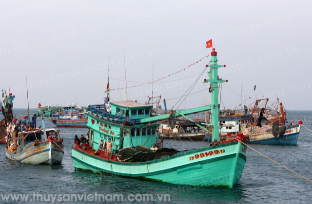 Cà Mau: Hiệu quả khai thác trên biển tại Ngọc Hiển