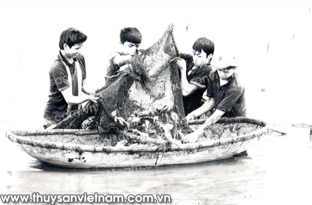 Ninh Bình: Nhiều ưu điểm từ nuôi cá trong ruộng trũng