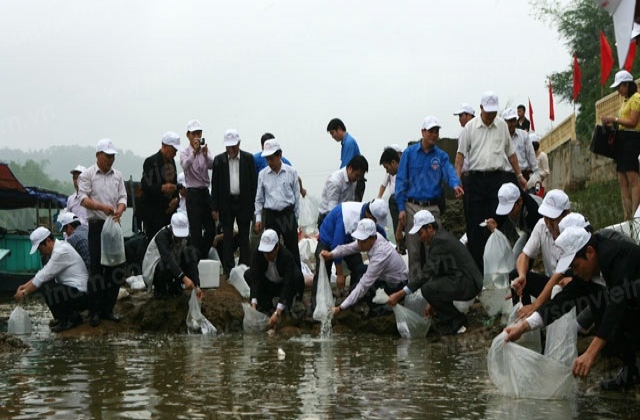 Hội Nghề cá Việt Nam gắn các hoạt động ngày truyền thống ngành thủy sản