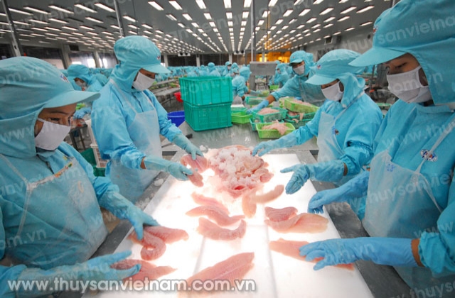 Cải thiện chất lượng cá tra