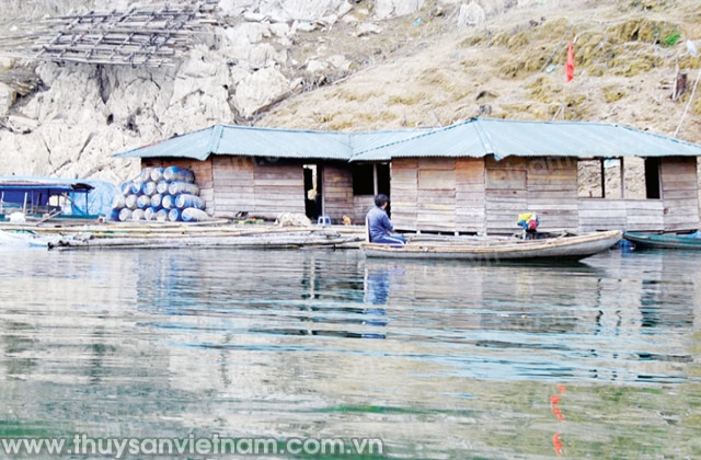 Hoà Bình: Ổn định diện tích nuôi trồng thủy sản