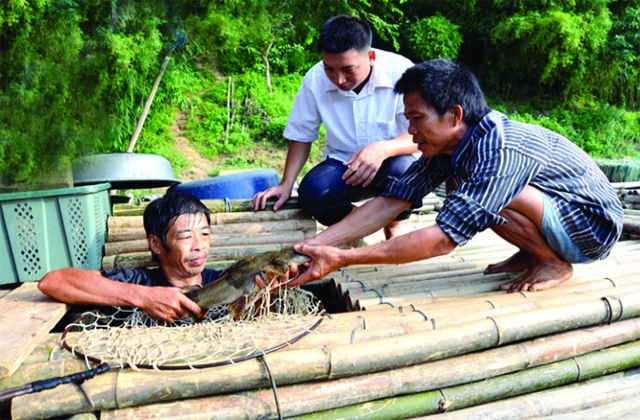 Tuyên Quang nuôi thủy sản bền vững