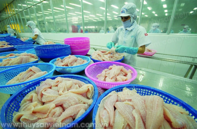 Chuyển hướng chất lượng thấp