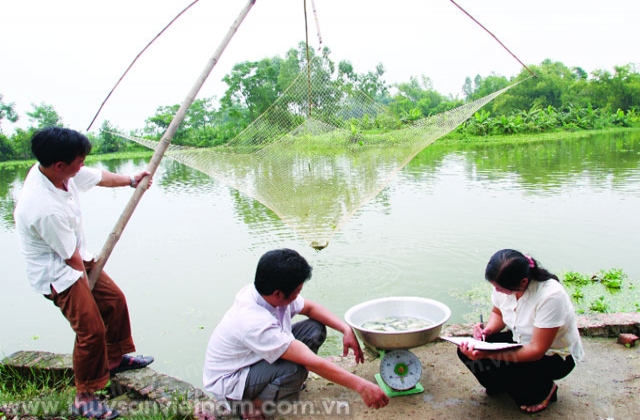 Vĩnh Phúc: Khuyến ngư là cầu nối của ngư dân