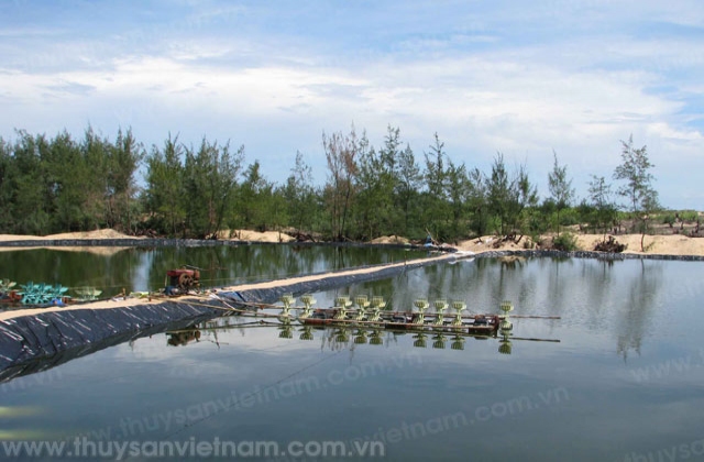 Khơi thông tiềm năng thủy sản Quảng Nam