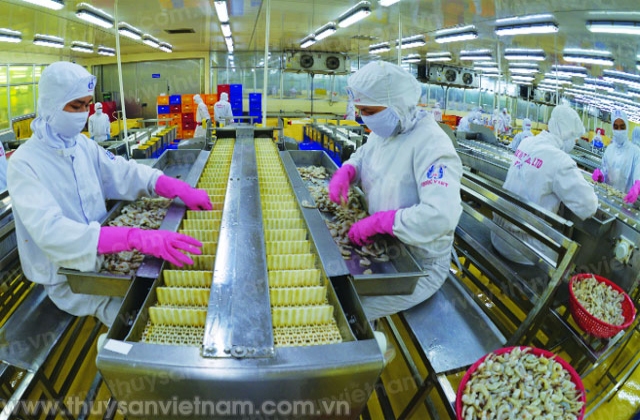 Quốc Việt đặc biệt về tôm