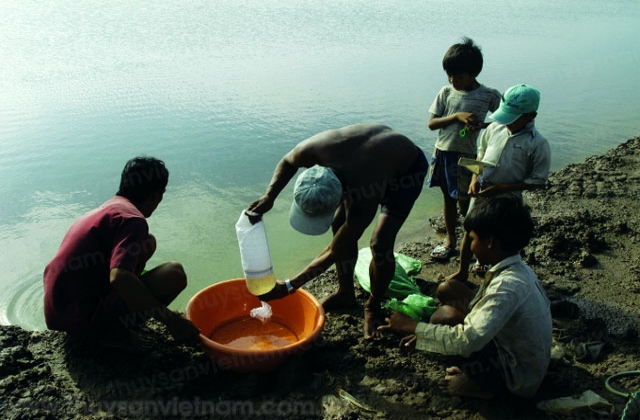 Nâng cao chất lượng giống, chủ động ứng phó dịch bệnh